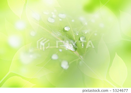 Water droplets 5324677