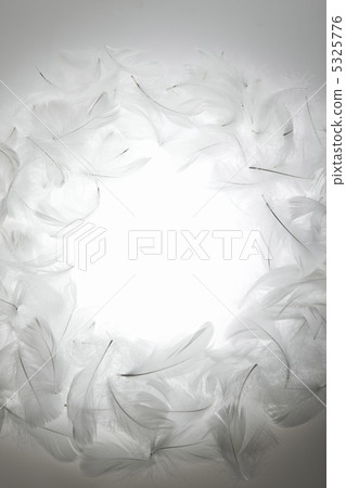 wing wing 5325776