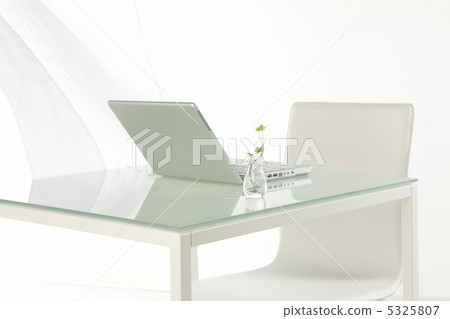 Laptop computer and houseplant 5325807