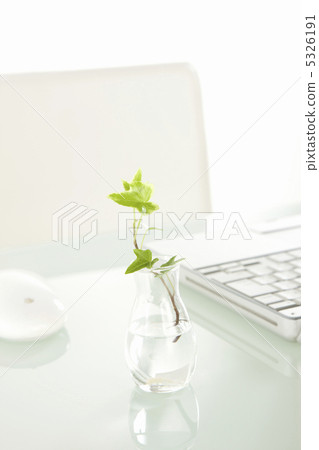 Laptop computer and houseplant 5326191