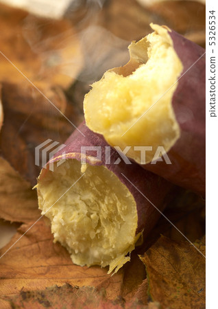  Sweet potato 5326534