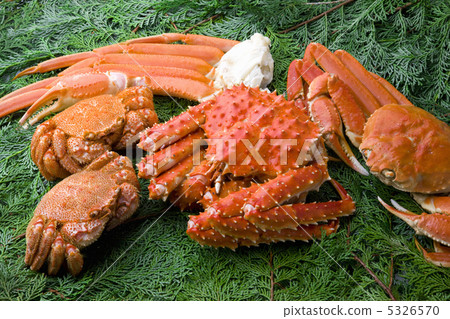 螃蟹  5326570