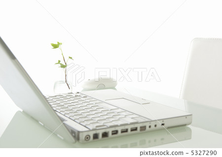 Laptop computer and houseplant 5327290