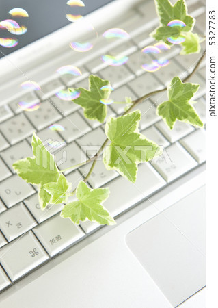 Laptop computer and foliage plants and soap bubbles Laptop computer and foliage plants and soap bubbles 5327783