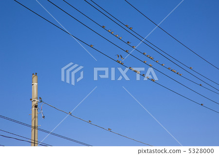 Electrical wire  5328000