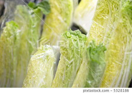 Chinese cabbage Chinese cabbage 5328186