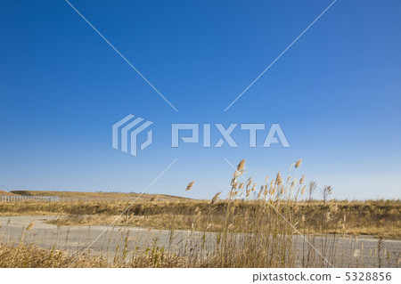 垃圾填埋場 5328856