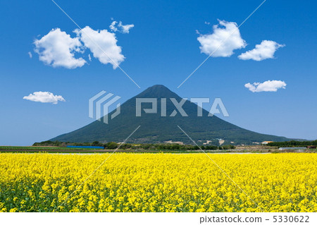 強姦花和Mt. Kamen 5330622