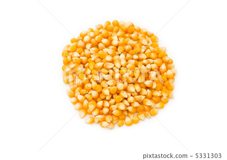 Corn seeds isolated on the white background Corn seeds isolated on the white background 5331303