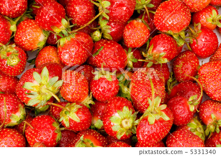 Lots of strawberries arranged as the background 5331340