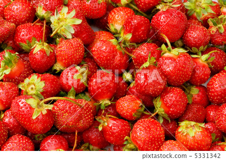 Lots of strawberries arranged as the background Lots of strawberries arranged as the background 5331342