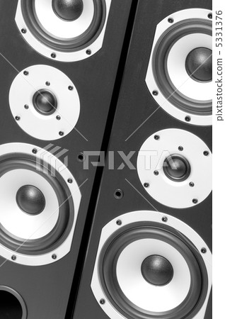 Close up of the two audio speakers 5331376