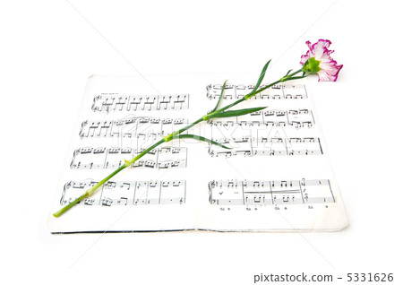 Romatic concept - red carnations flower on musical notes page Romatic concept - red carnations flower on musical notes page 5331626