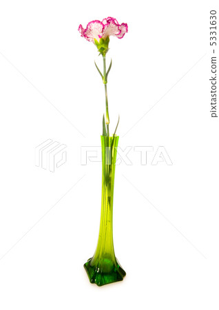 Red rose isolated on the white background Red rose isolated on the white background 5331630