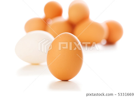 Brown egg on white - shallow depth of field 5331669
