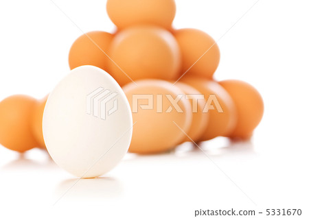 White egg with brown eggs at the background White egg with brown eggs at the background 5331670