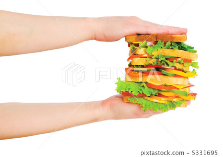 Two hands holding sandwich isolated on white Two hands holding sandwich isolated on white 5331695