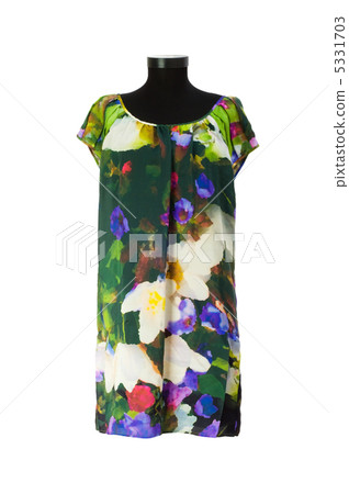 Woman clothing isolated on the white background 5331703