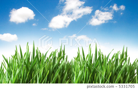 Green glass isolated on the white background Green glass isolated on the white background 5331705