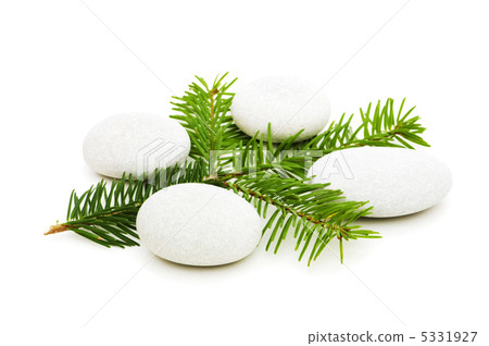 Spa concept with green twig and pebbels Spa concept with green twig and pebbels 5331927