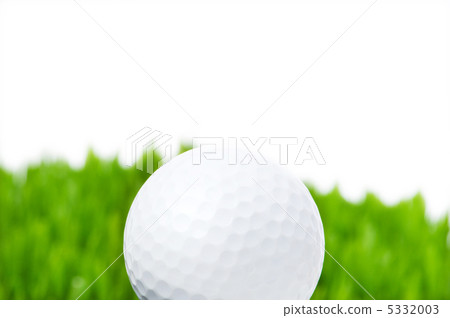 Golf ball and grass isolated on the white background Golf ball and grass isolated on the white background 5332003