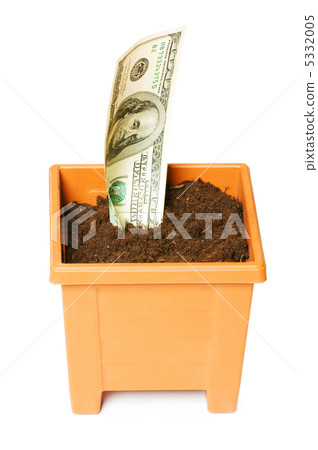 Dollars growing in the pot isolated on the white 5332005