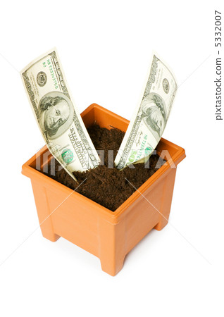 Dollars growing in the pot isolated on the white Dollars growing in the pot isolated on the white 5332007