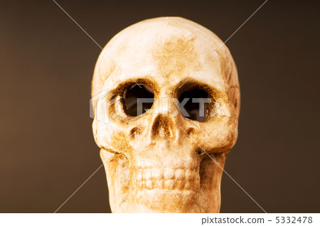 Human skull against dark background Human skull against dark background 5332478