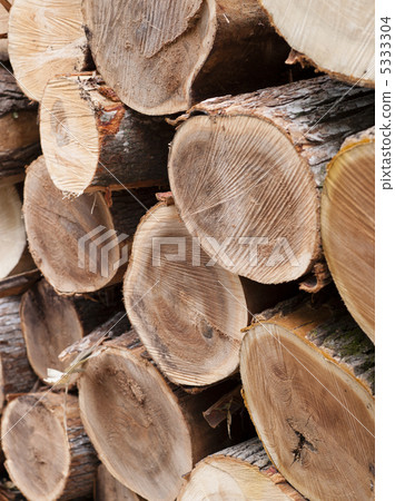 Lumber 5333304
