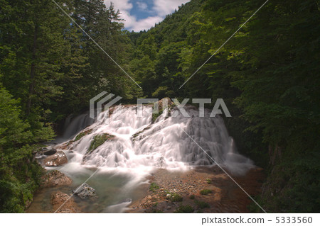 Fish returning waterfall 5333560