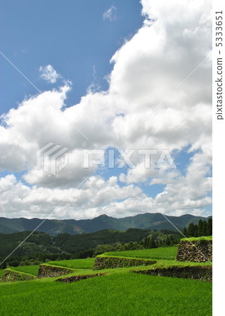 Sakamoto Rice露台 5333651