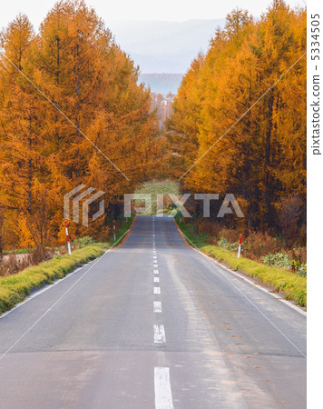 秋天的隧道 5334505