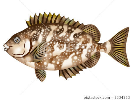 愛國者 愛國者 5334553