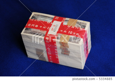未使用的百日元wagg 5334885