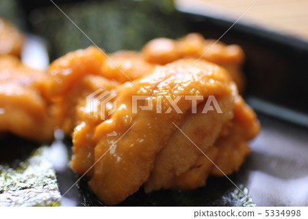 原始的常春藤 原始的常春藤 5334998