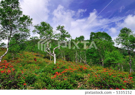 Shirakaba和Yu no Maru高原 5335152