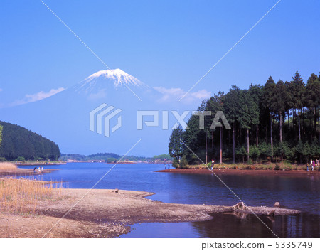 海濱度假 -  Lake Tanuki湖 5335749