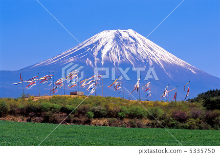 在富士山後面的Kaoru微風中游泳 5335750