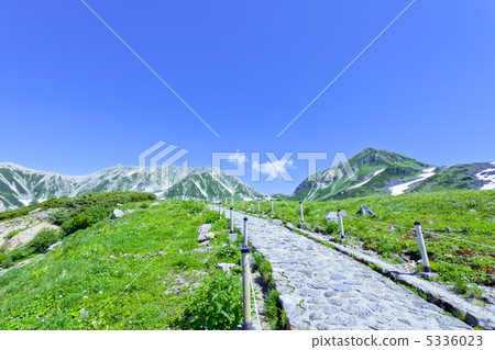 Summer Tateyama (Oyama) 5336023