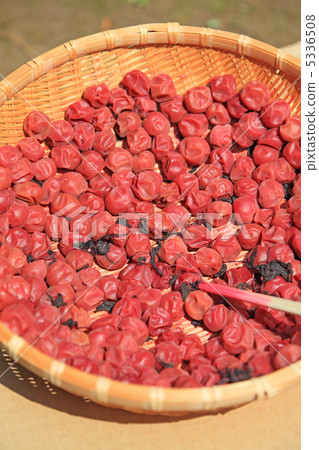 Umeboki曬乾 5336508
