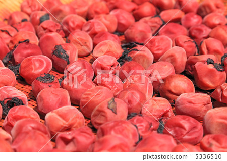 Umeboki曬乾 Umeboki曬乾 5336510
