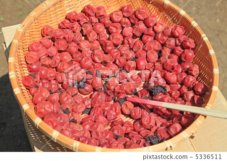 Umeboki曬乾 Umeboki曬乾 5336511