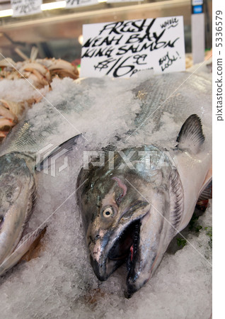Market salmon Market salmon 5336579