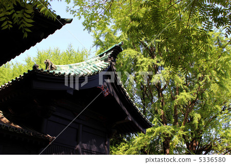 Yushima Seido 5336580