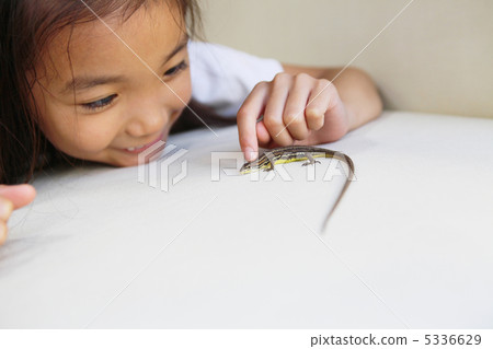 A lizard and a girl A lizard and a girl 5336629