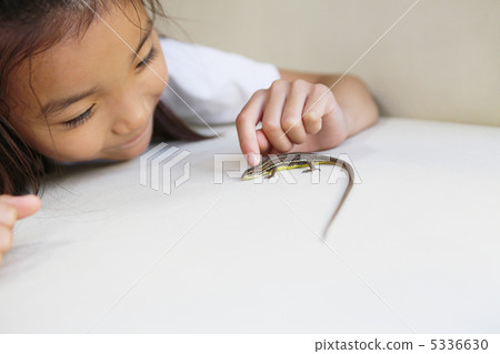 A lizard and a girl 5336630