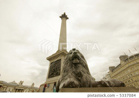 尼爾森的柱獅 5337084