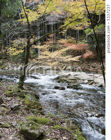 紅眼前進瀑布 5337237