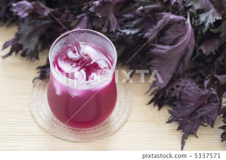 Red Shiso Juice 5337571