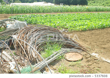 After farm work 5337608